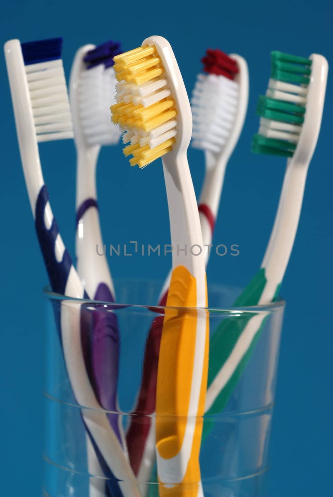 Toothbrush family