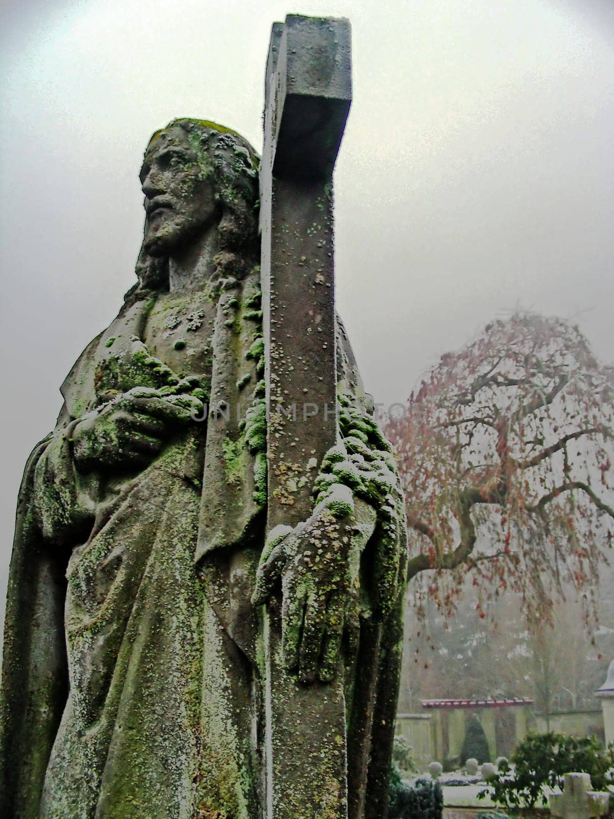 Forgotten Jesus