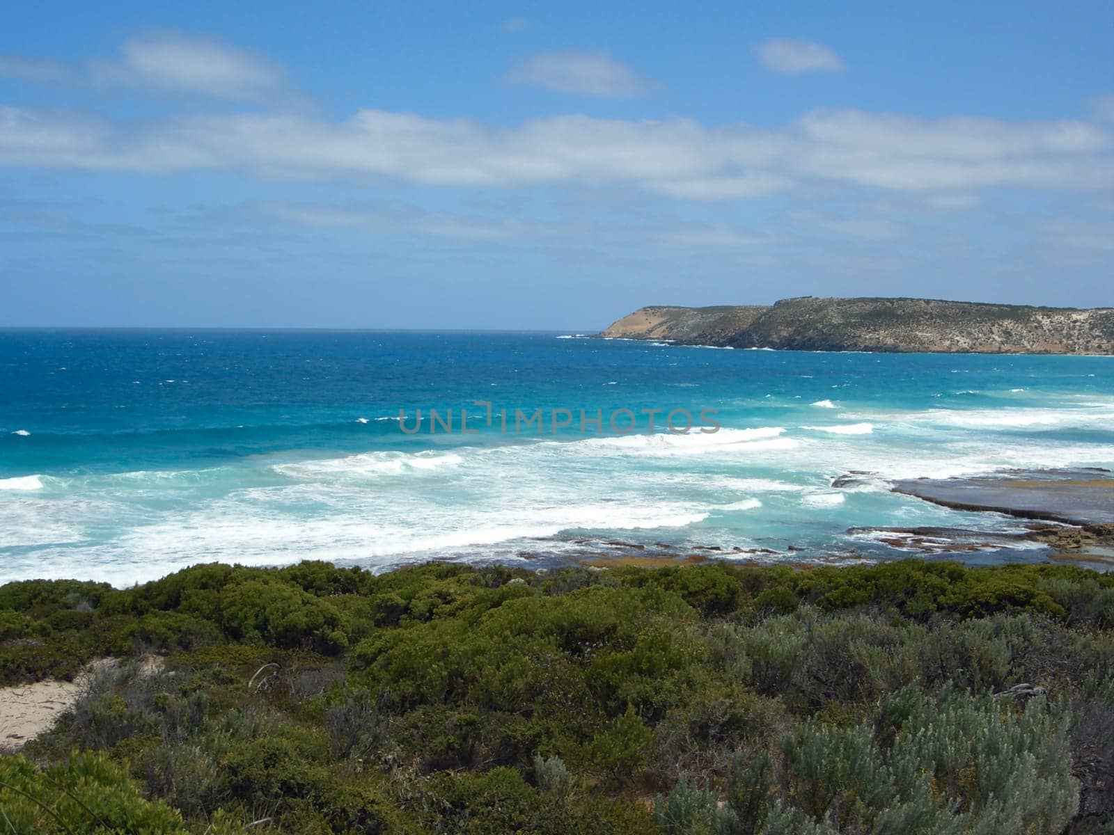 Seal Bay