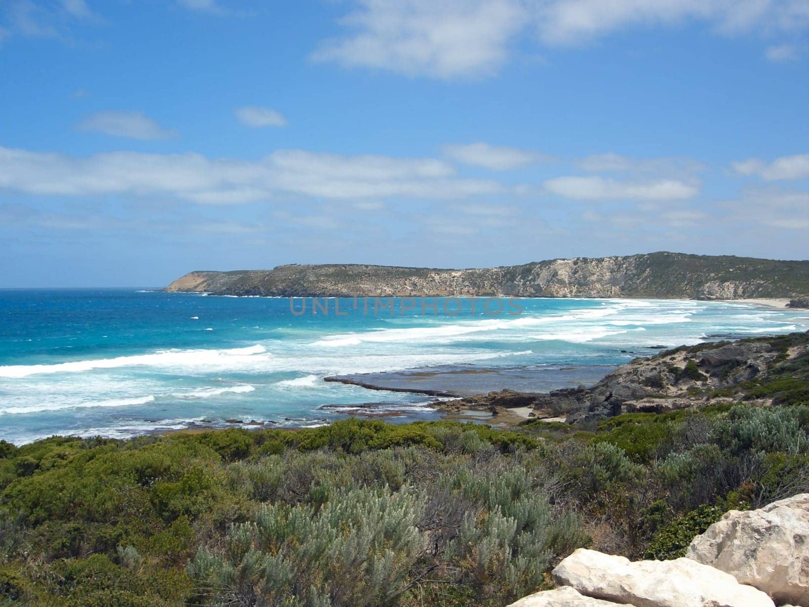 Beach at Seal Bay