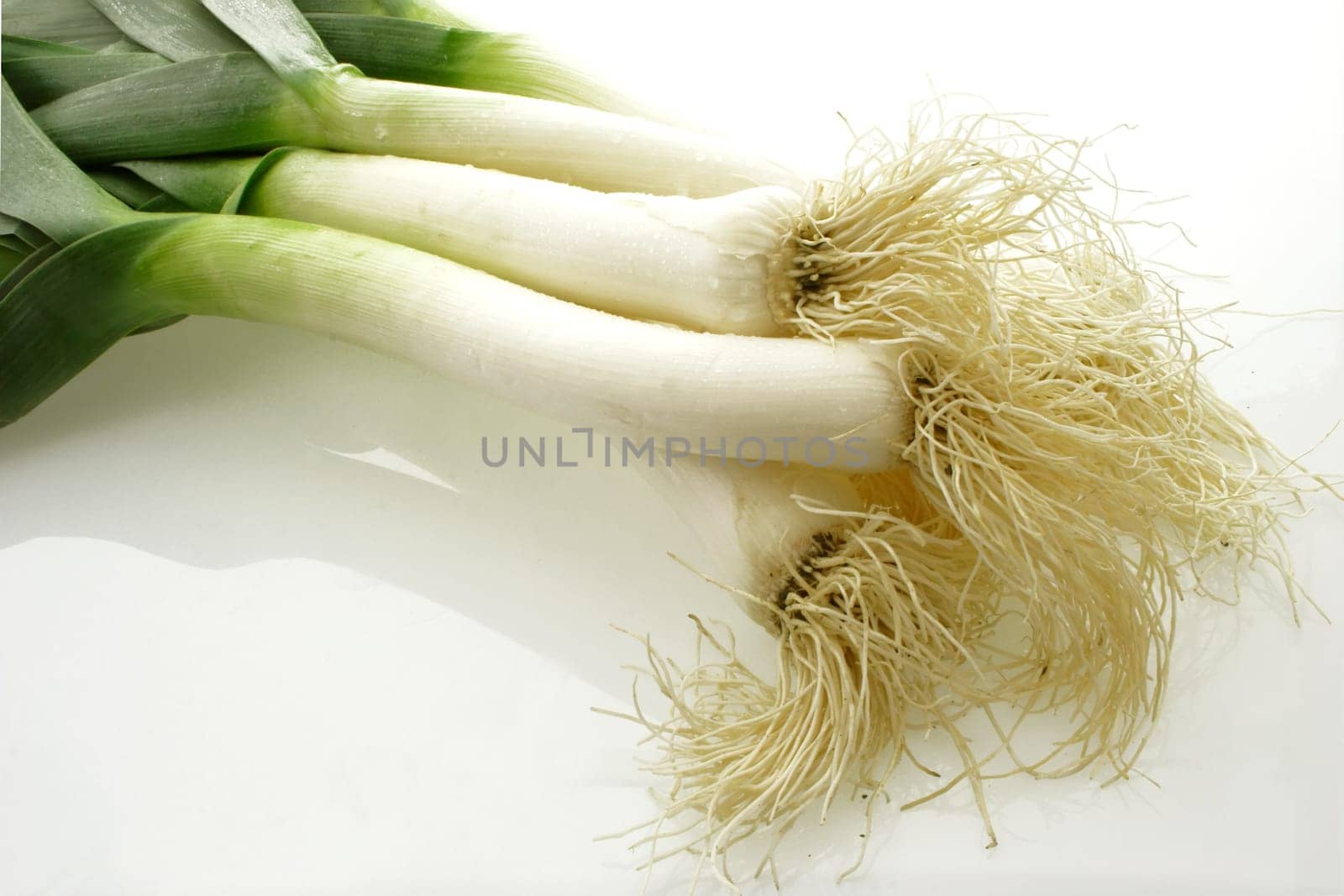 Leek