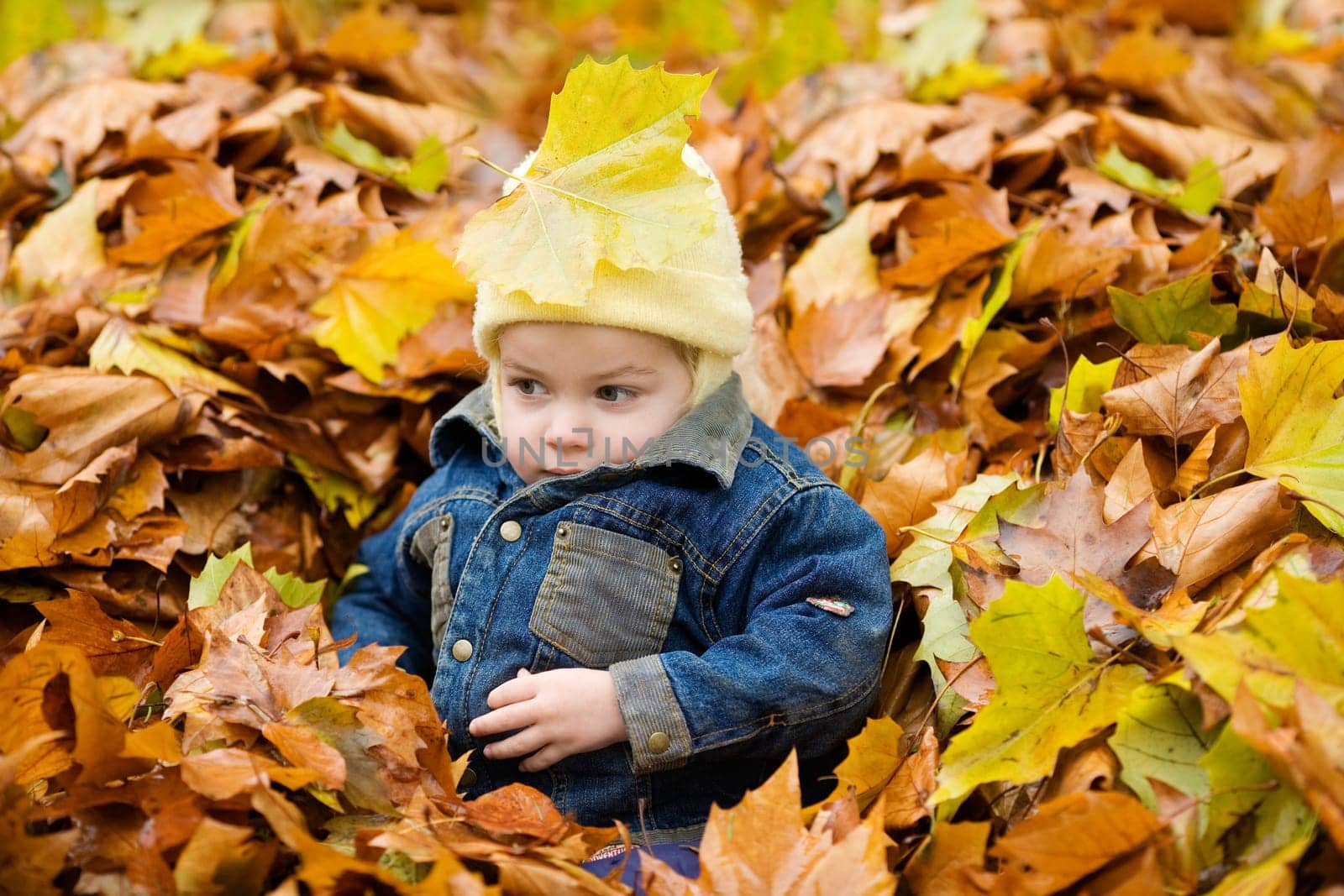 Child in the foliage
