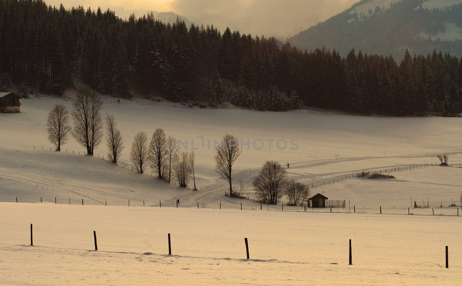 Once again for me the most beautiful hours of the day....... the late afternoon....!:-)