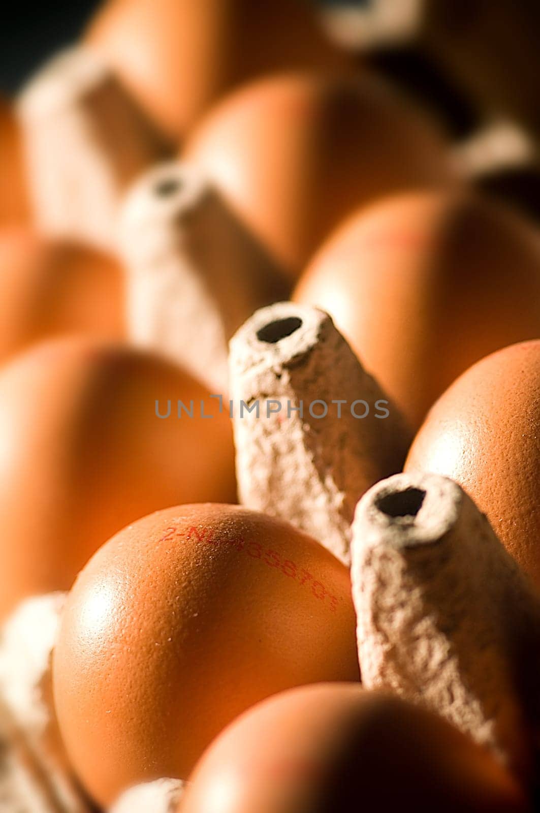 Eggs