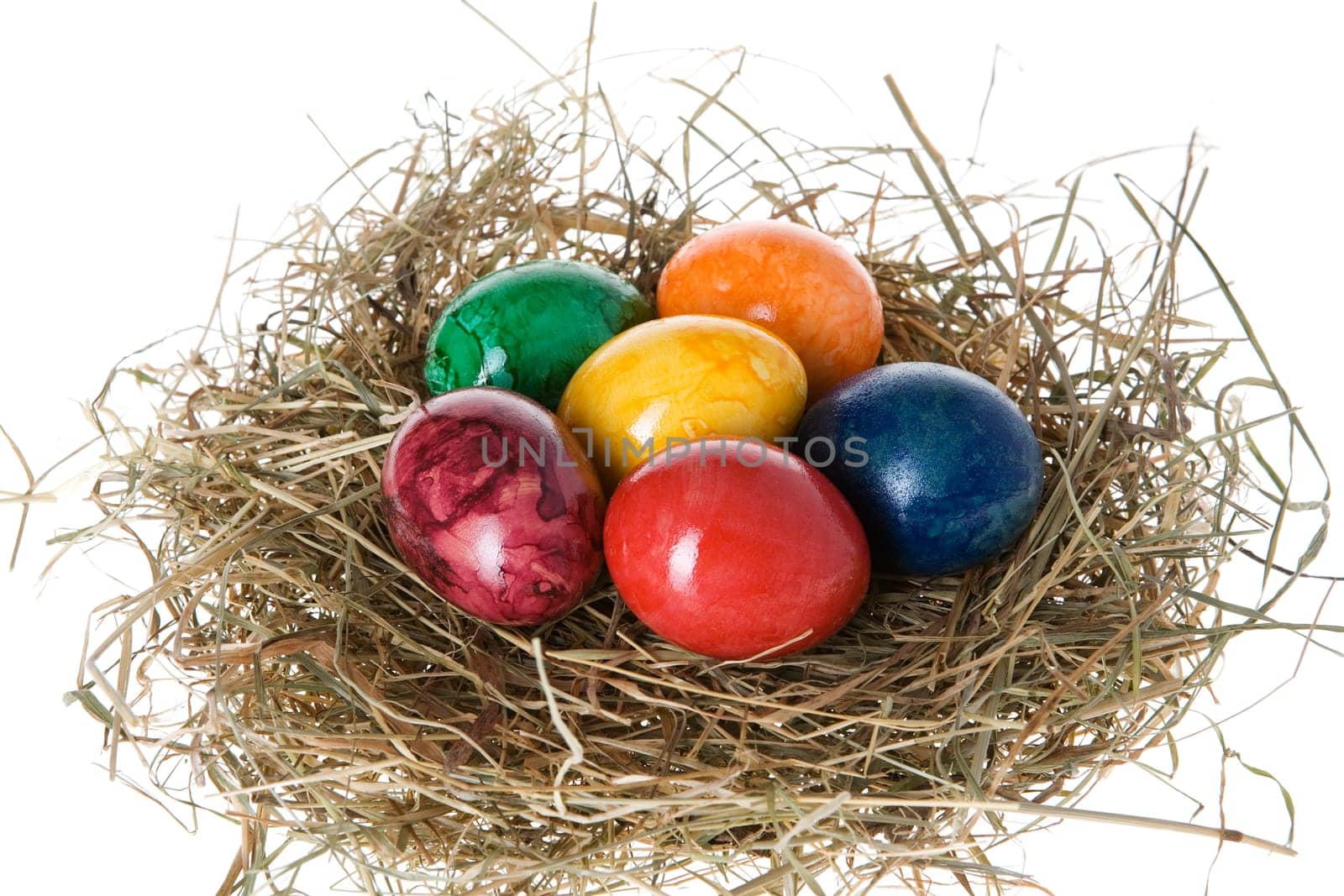 Easter eggs in the nest