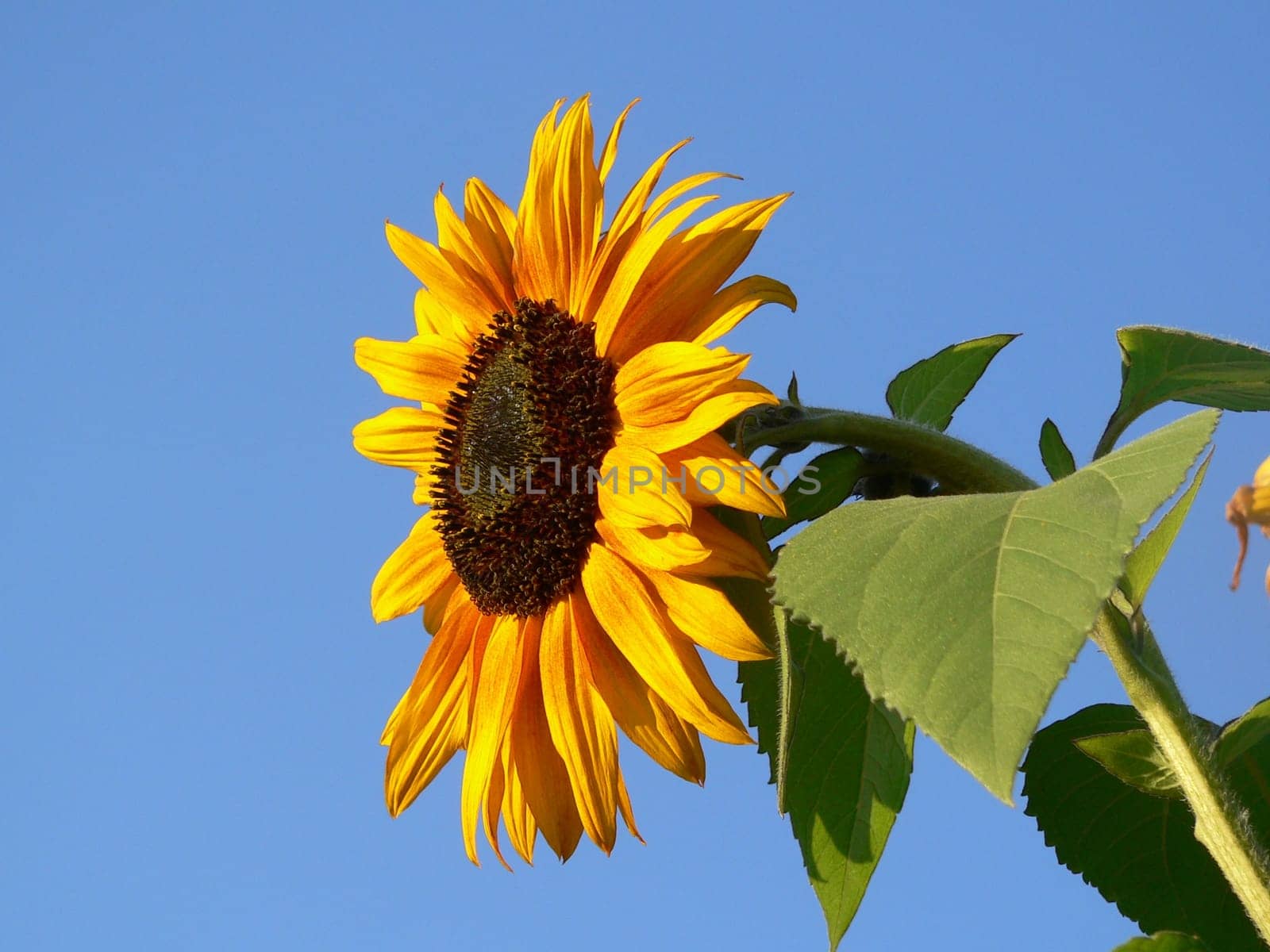 And it was summer...........
