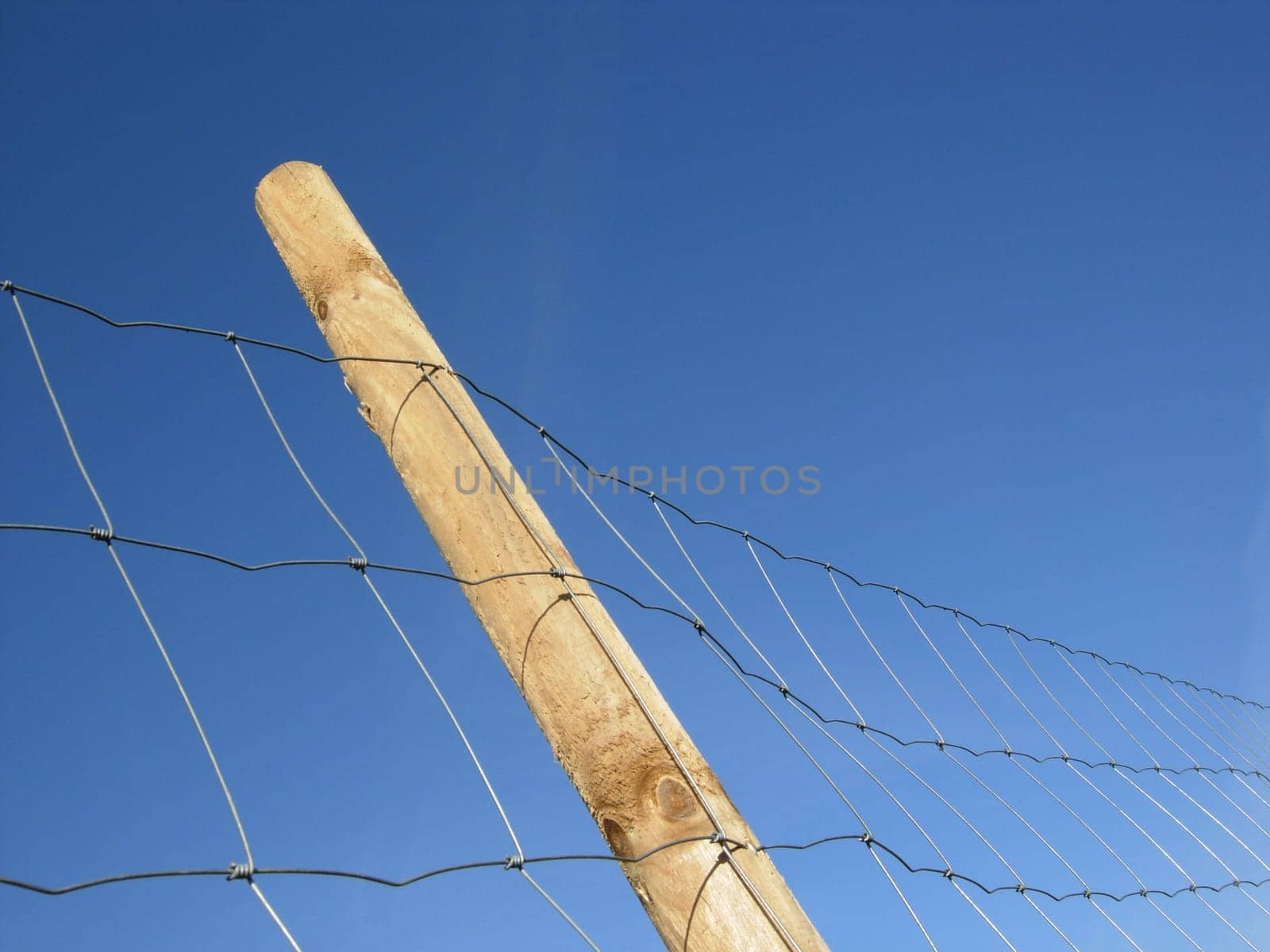 Wire mesh fence
