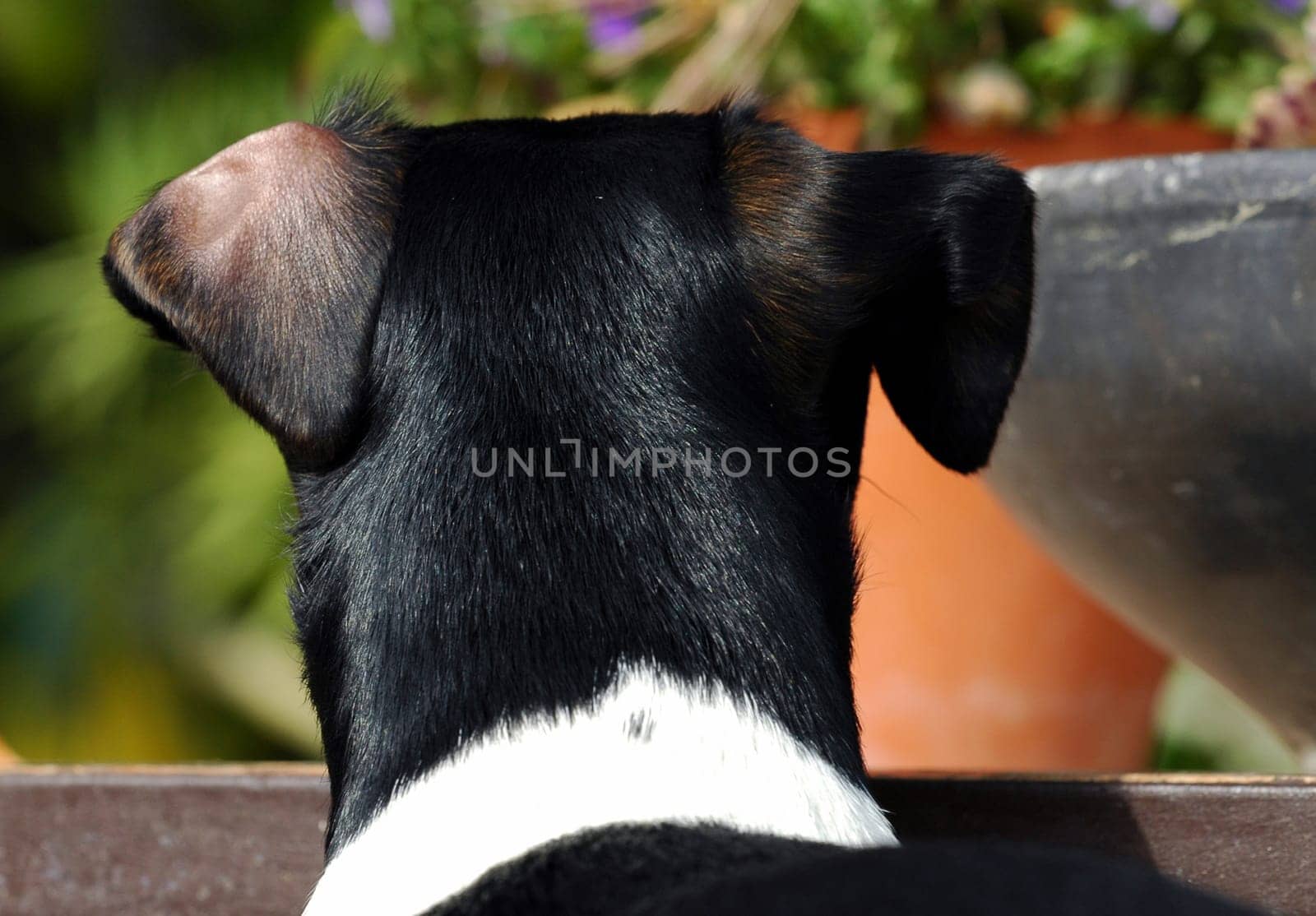 Always on the lookout