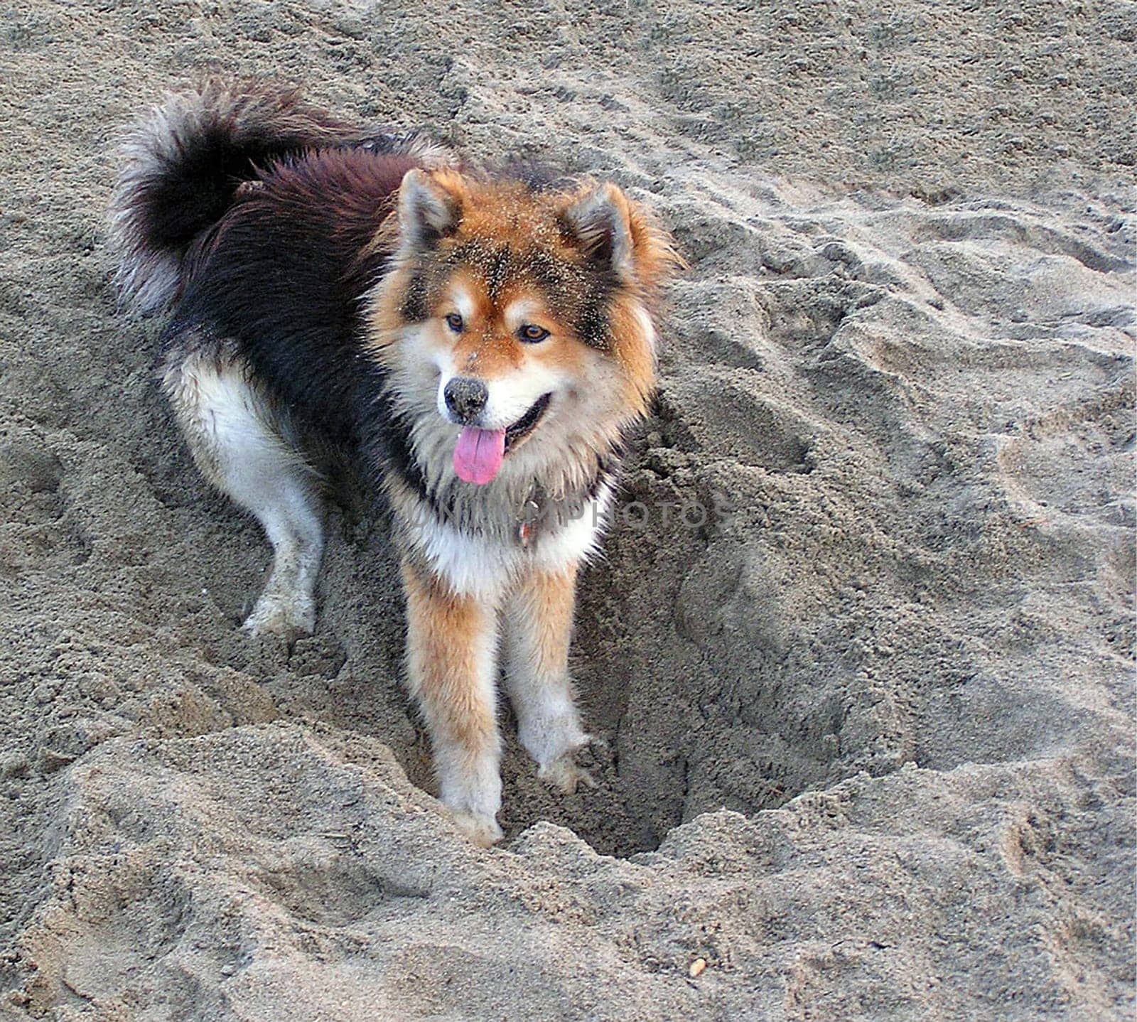 Hole