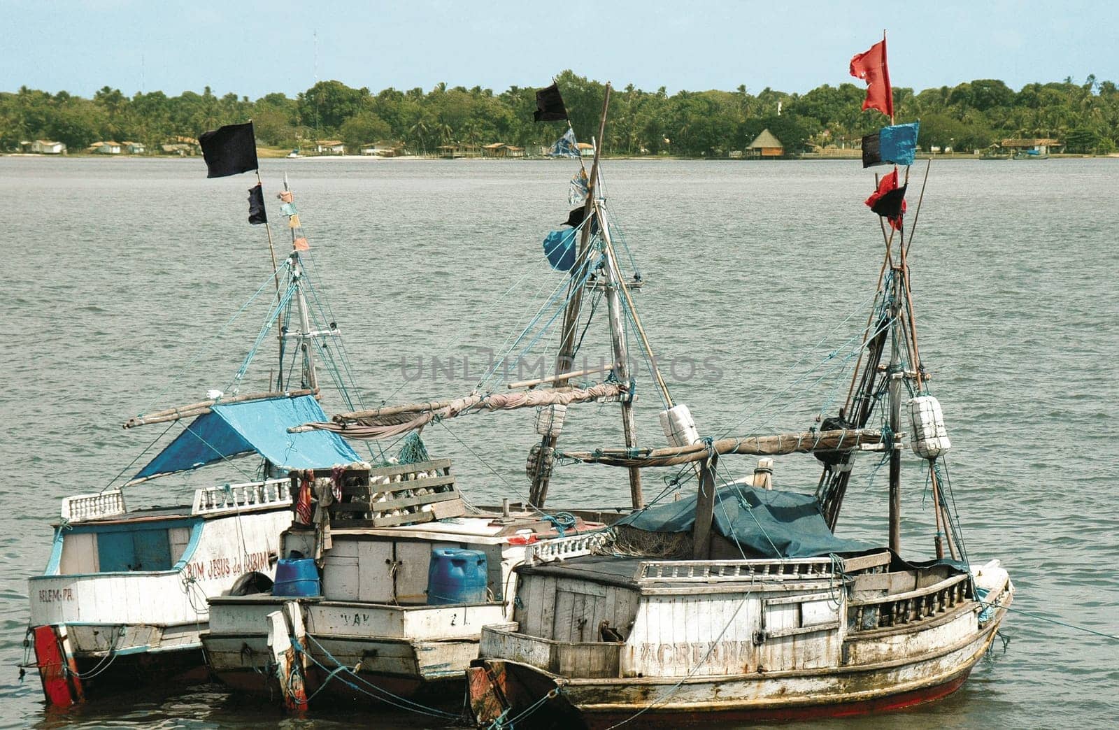 Fleet