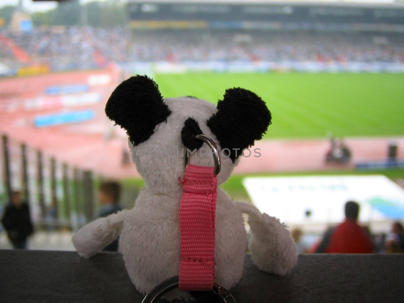 Football Lucky Charm