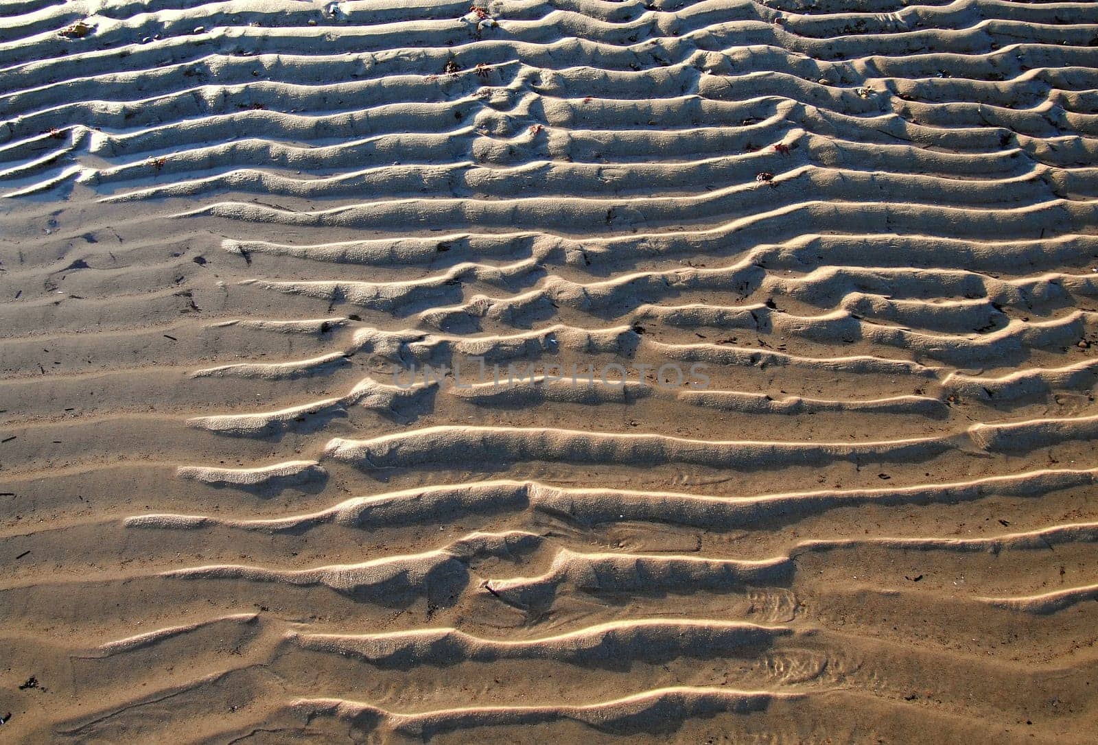 Waves in the Sand 2