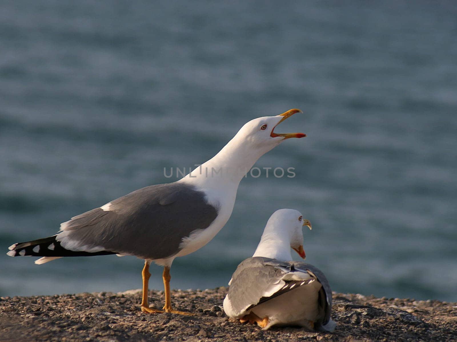 Communication