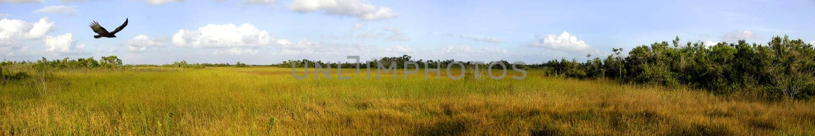 Immediately where Miami's sea of houses ends,the Everglades begin. Up to the coast of the Gulf of Mexico,the national park occupies the entire southern tip of Florida,including Florida Bay,speckled with mangrove islands. Not least thanks to