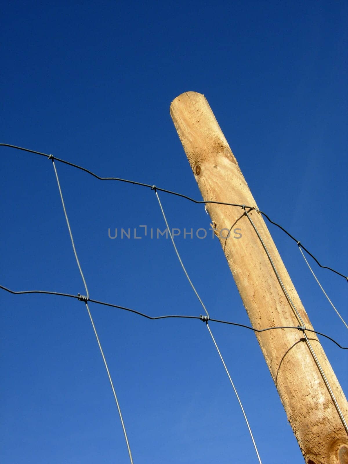 Fence in the countryside