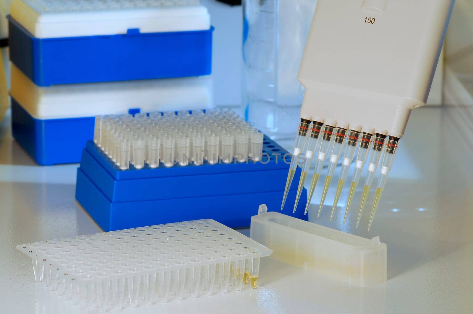 Laboratory work