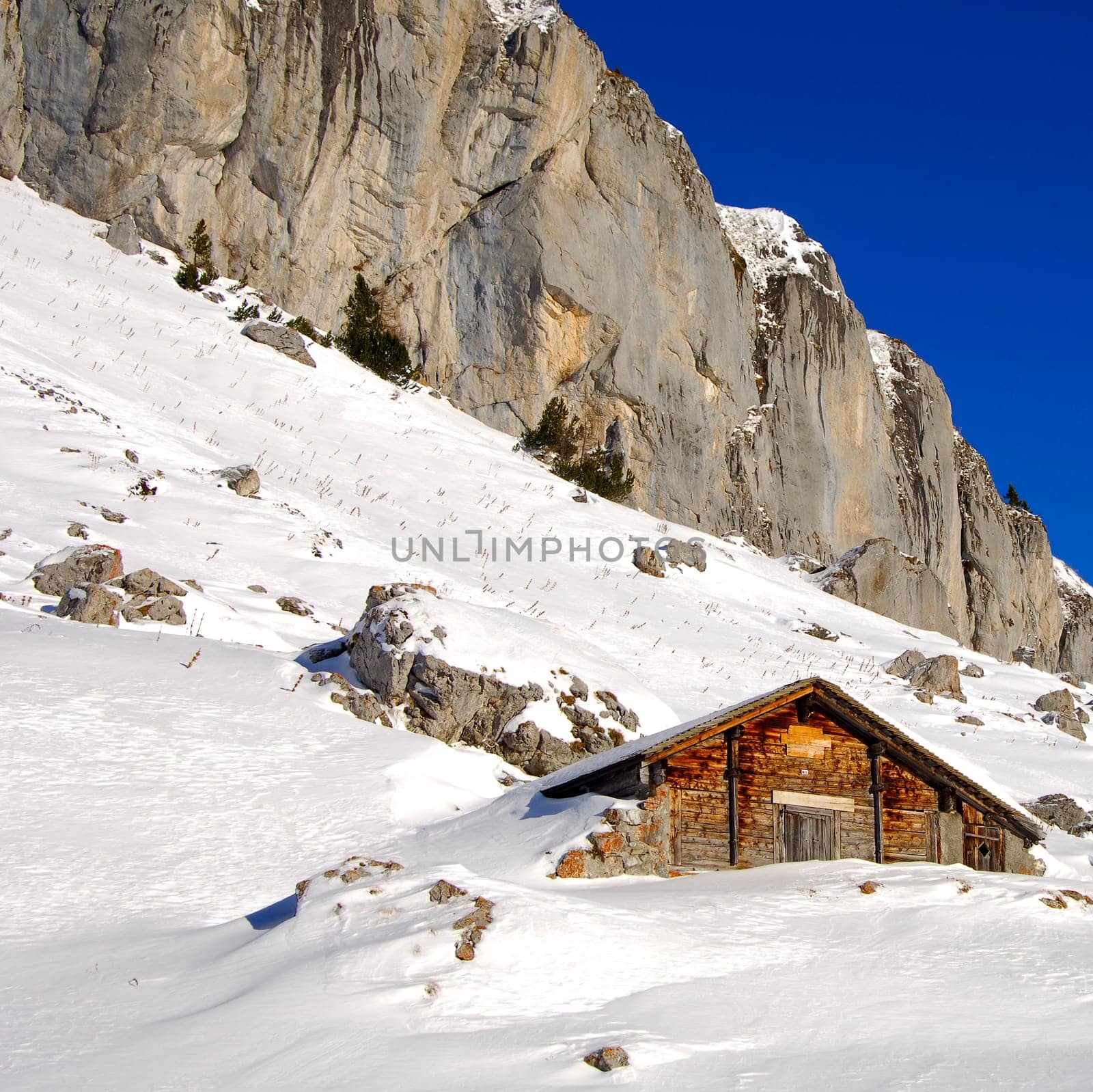 Alpine pasture in winter