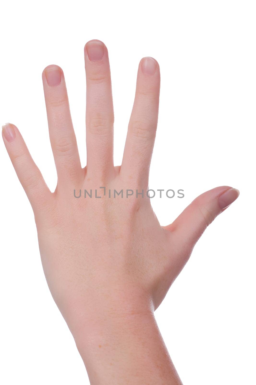 Five fingers