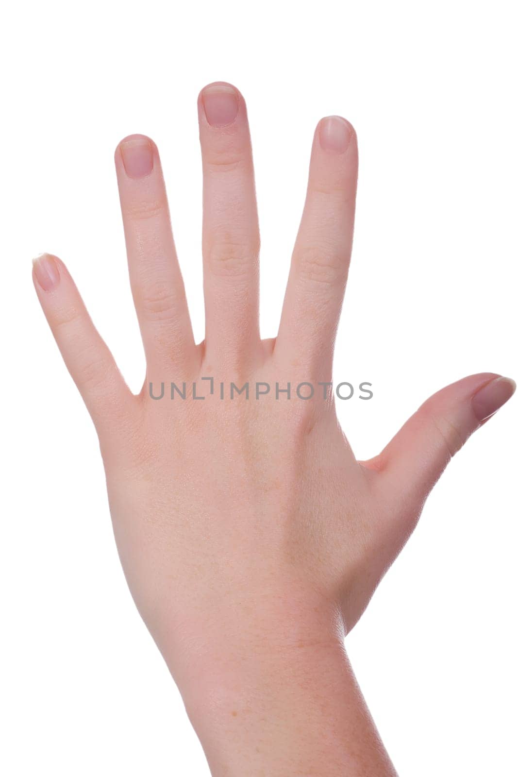 Whole hand