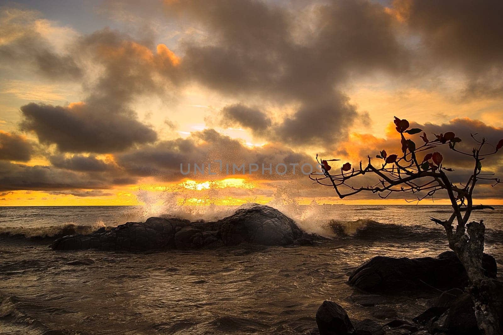 ... a second variant of the rock in the surf,photographed half an hour later than the first picture "la Planète Sauvage"""