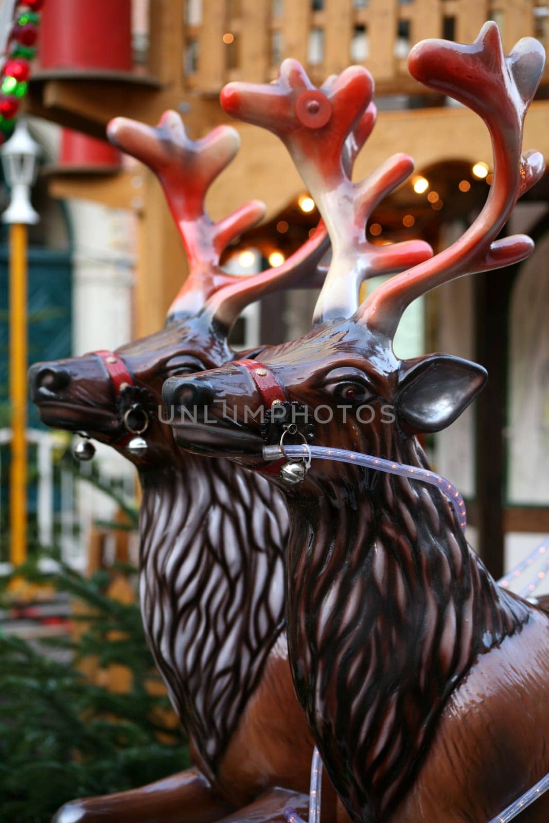 Christmas reindeer at a Christmas market