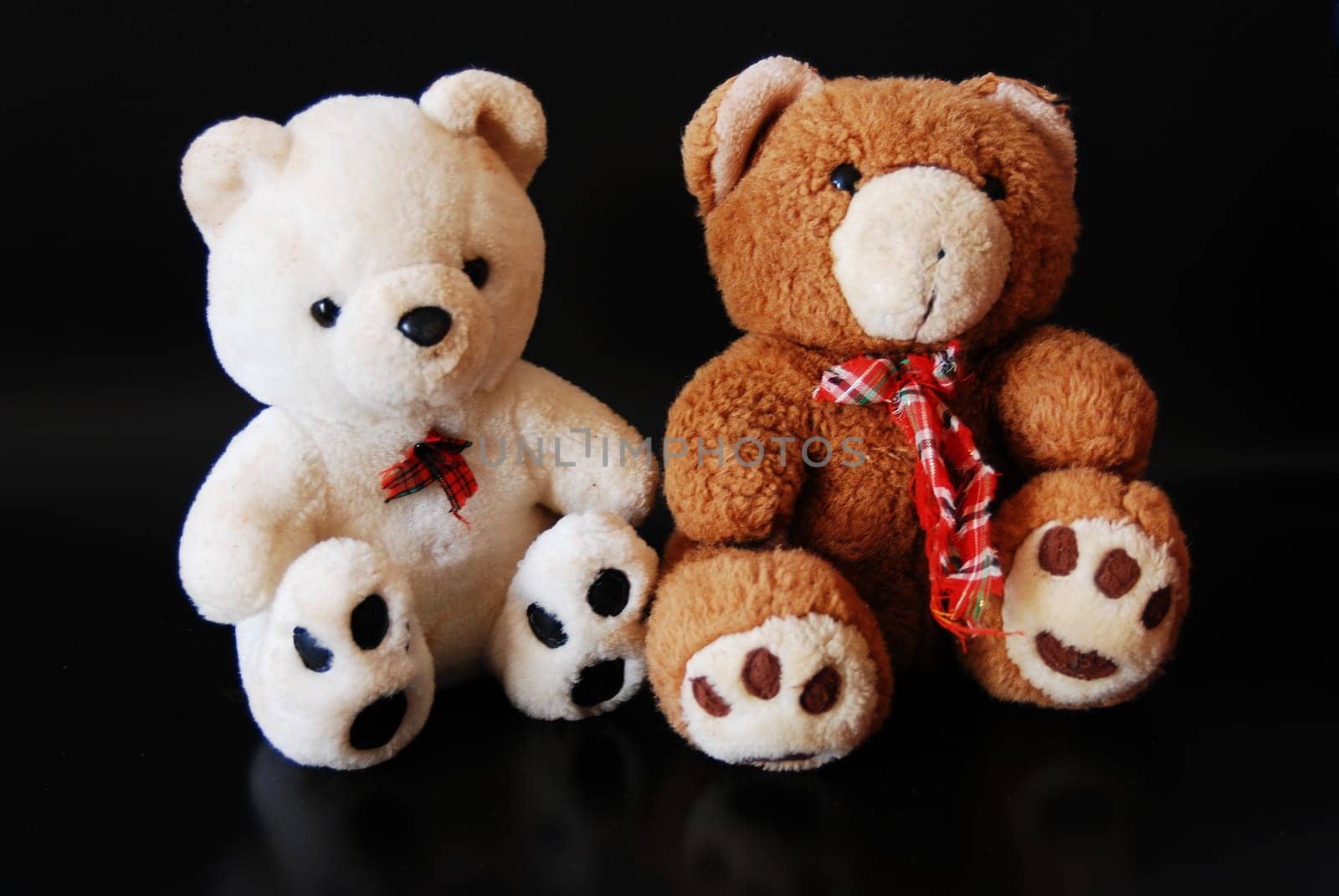 Bears