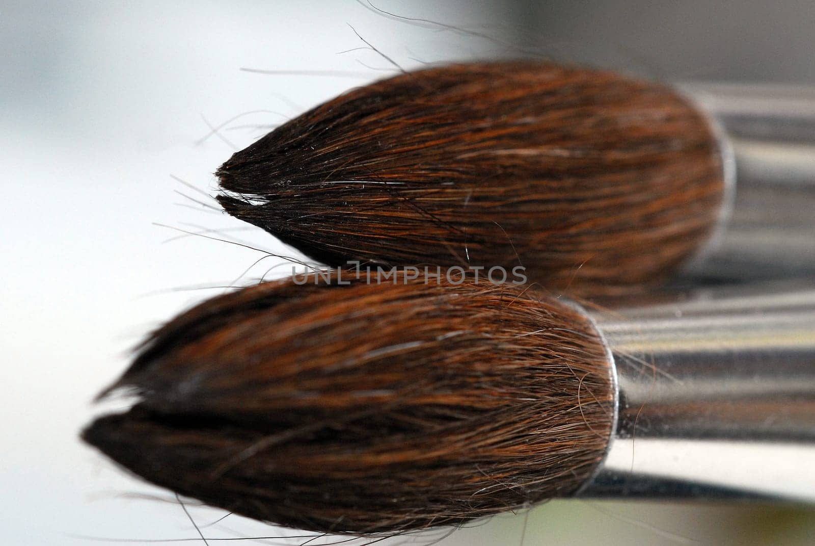 Two brushes