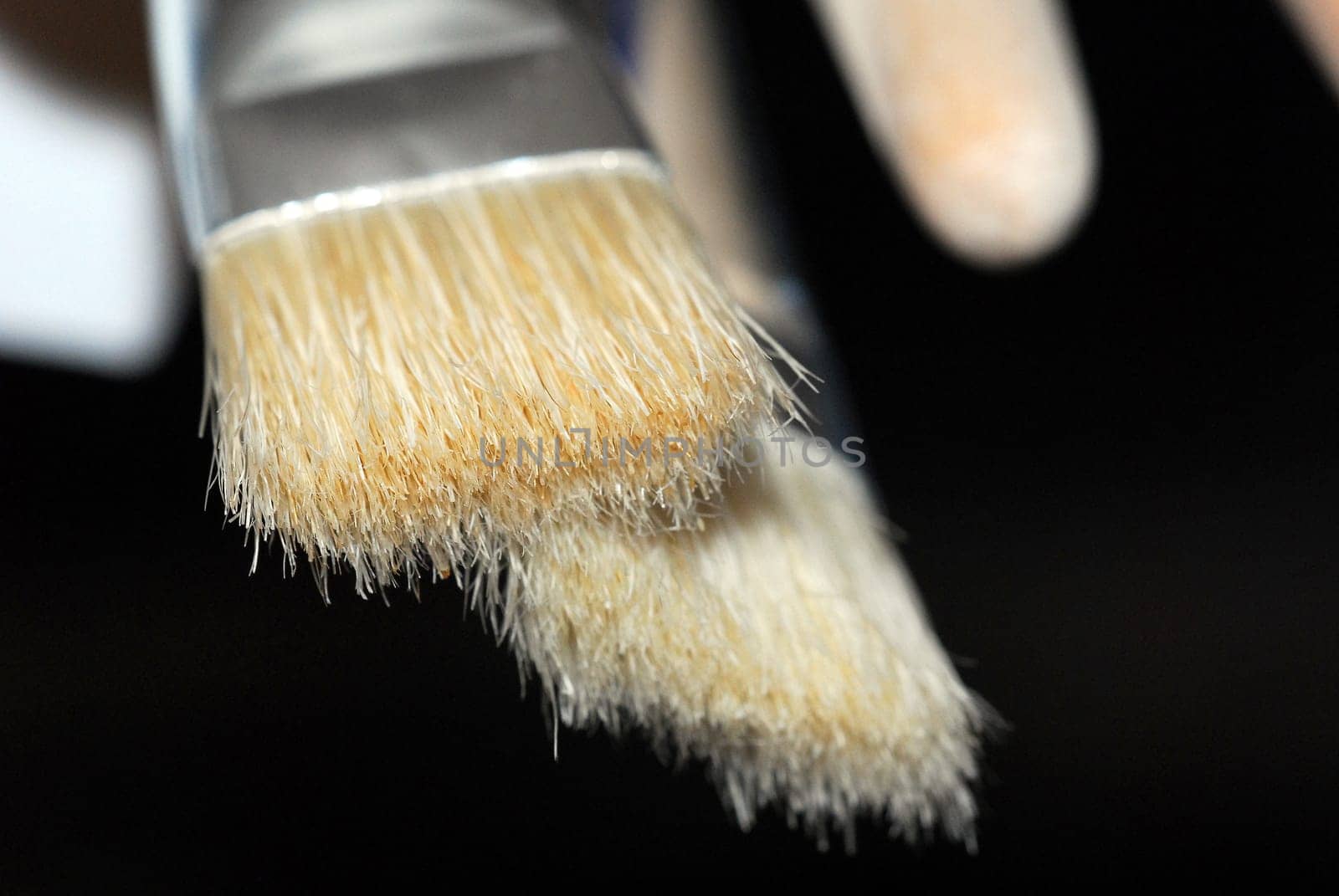 Bristle Brush 2