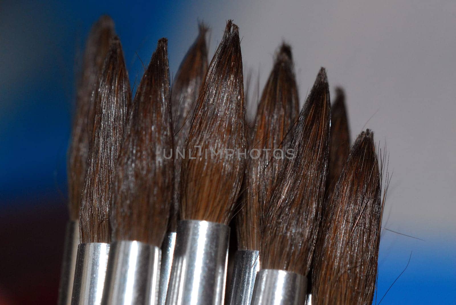 Hair Brush