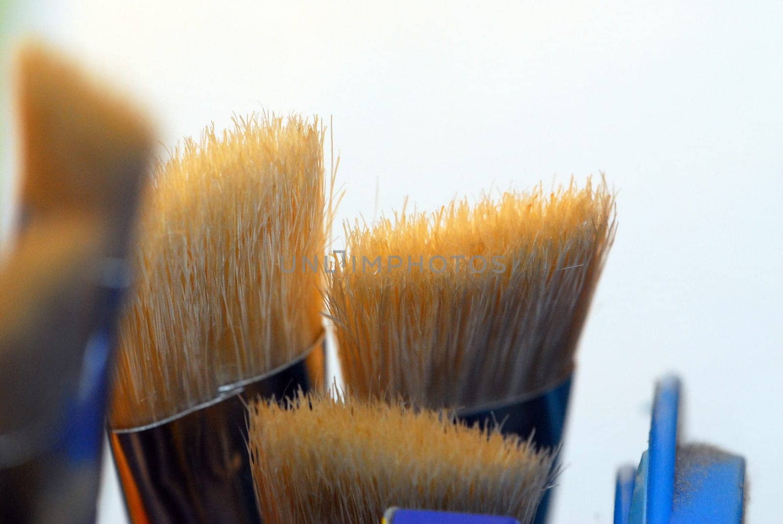 Bristle Brush 3
