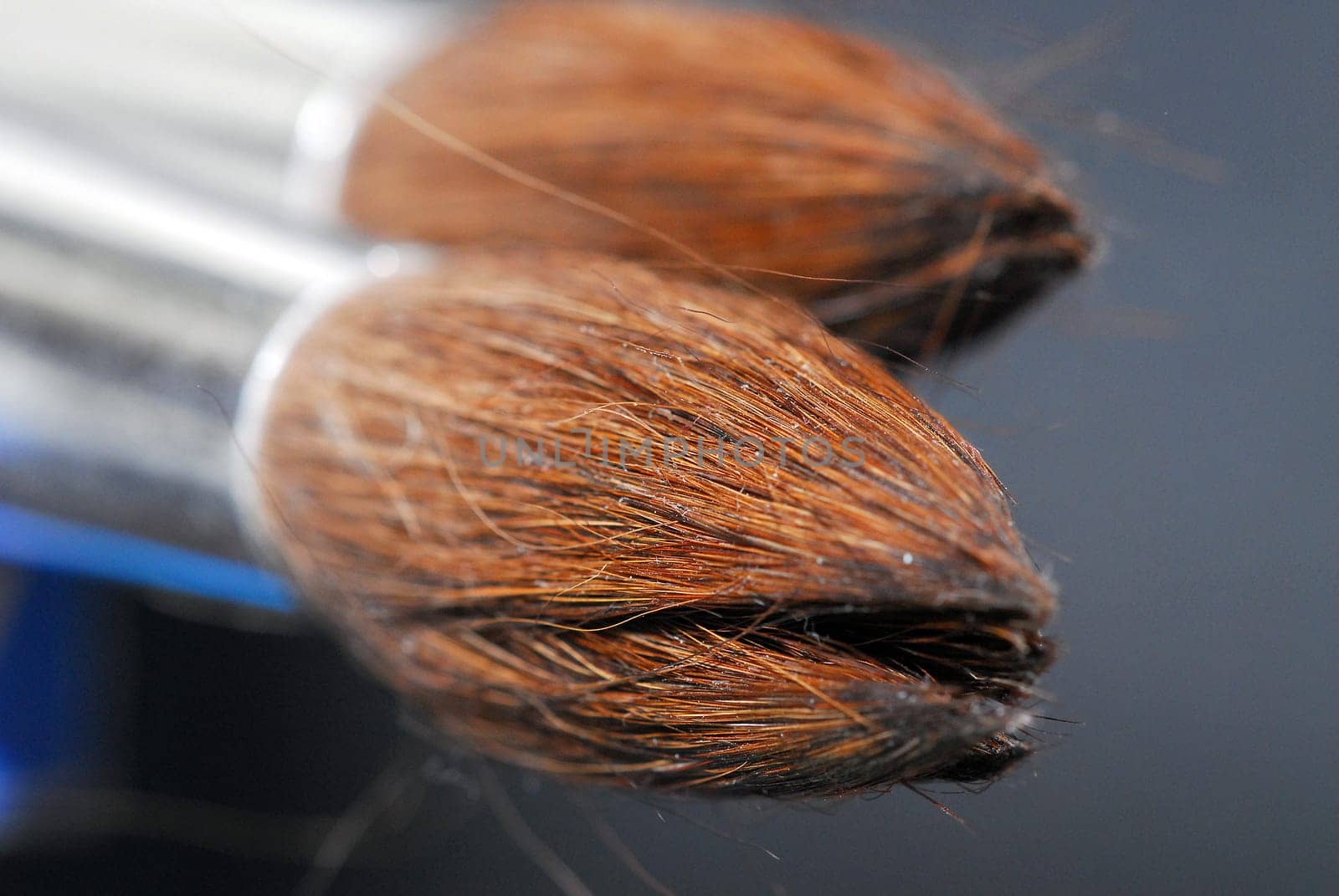 Brush