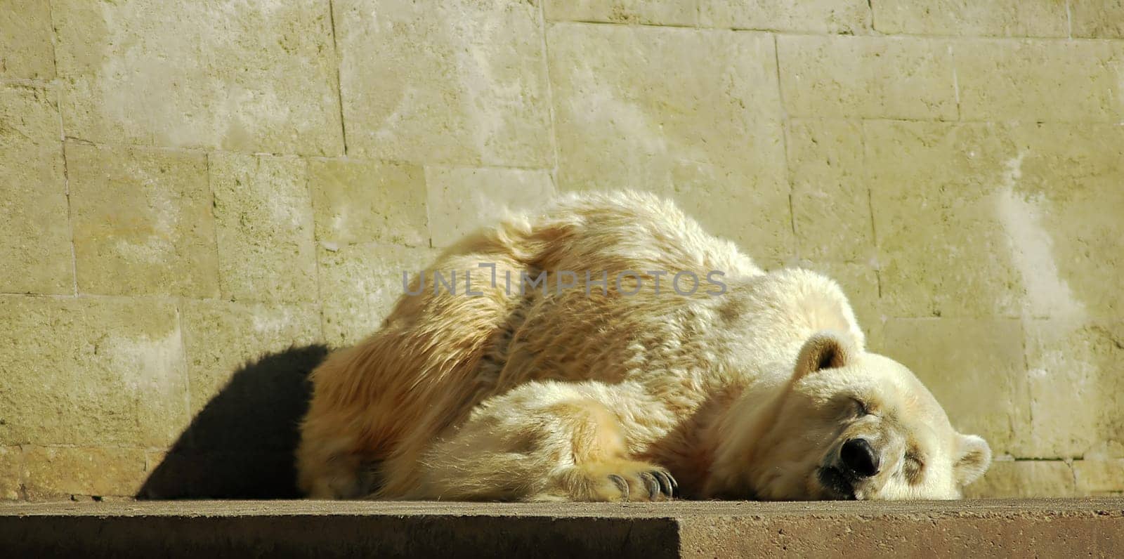 Even if the sharpness is missing a bit,I wish you all a nice weekend with this picture!:-)