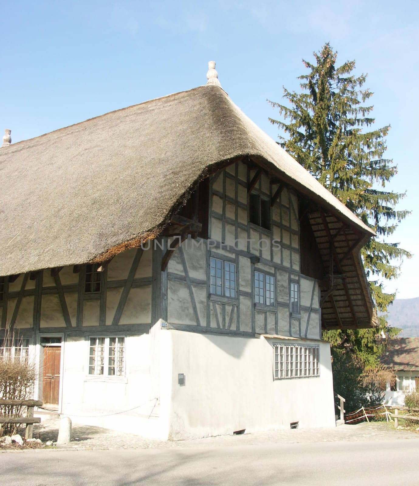 Thatched roof house
