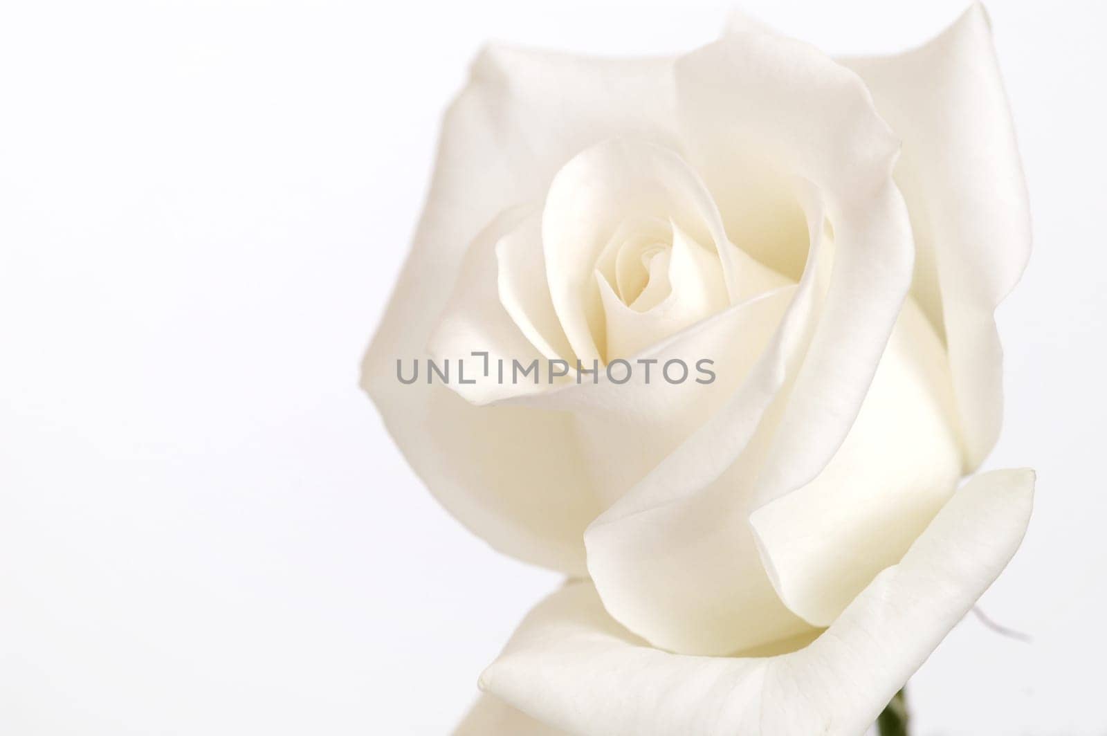 Colourless