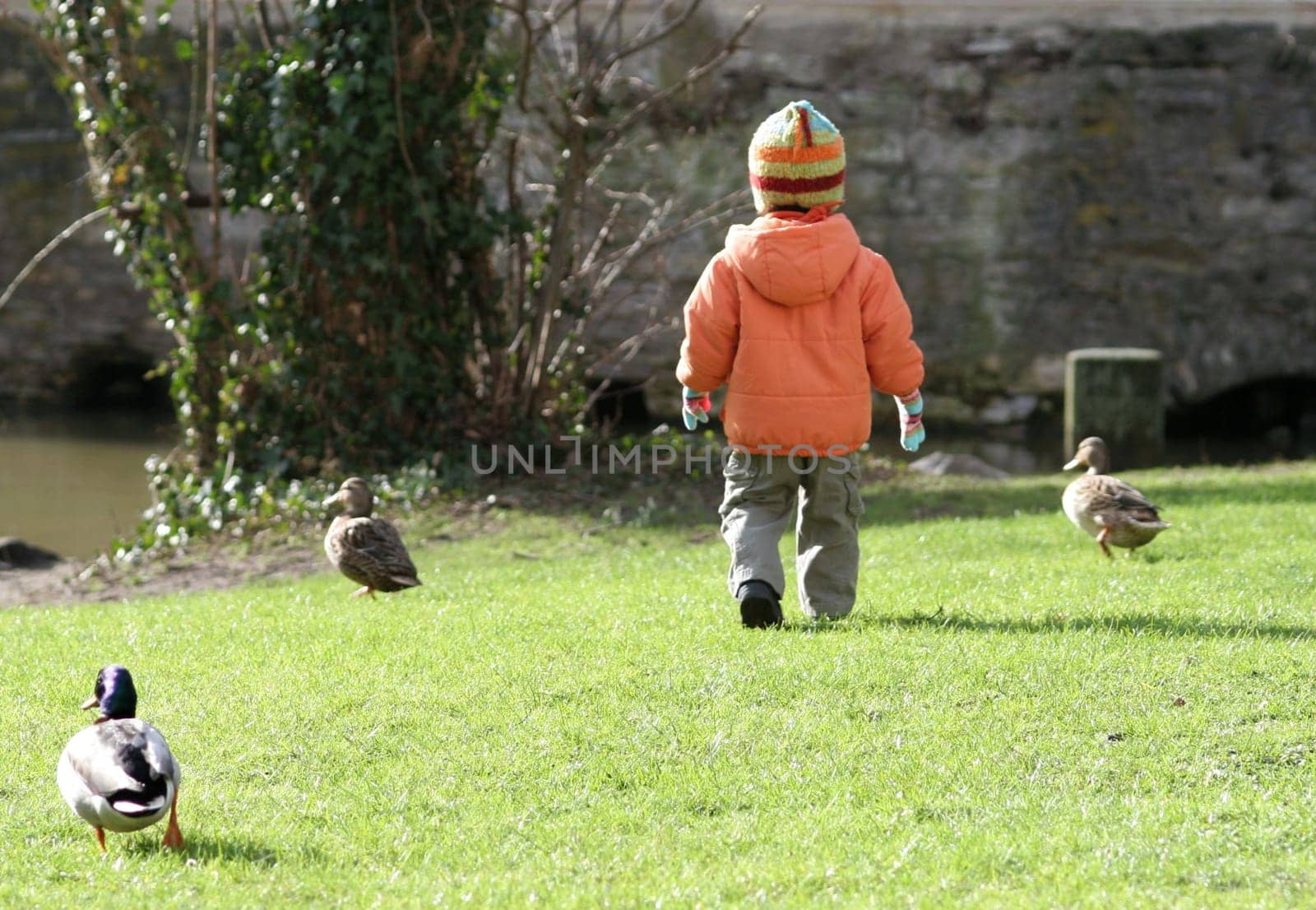 I enjoyed the sun today,like many others,and I was able to watch this little child in dealing with the ducks... a pleasure of a special kind... spring-like encounters.