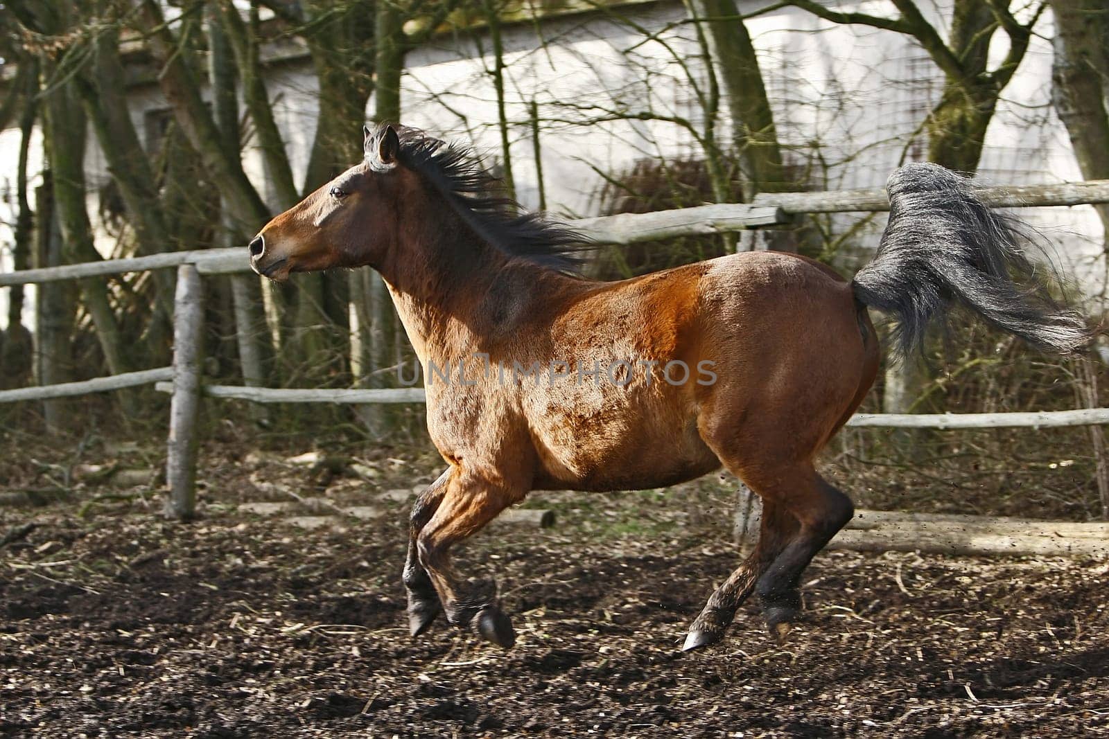 I'd rather take off... goli has spring fever :-)
