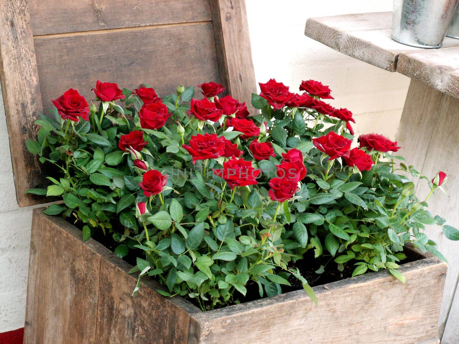 Rose box