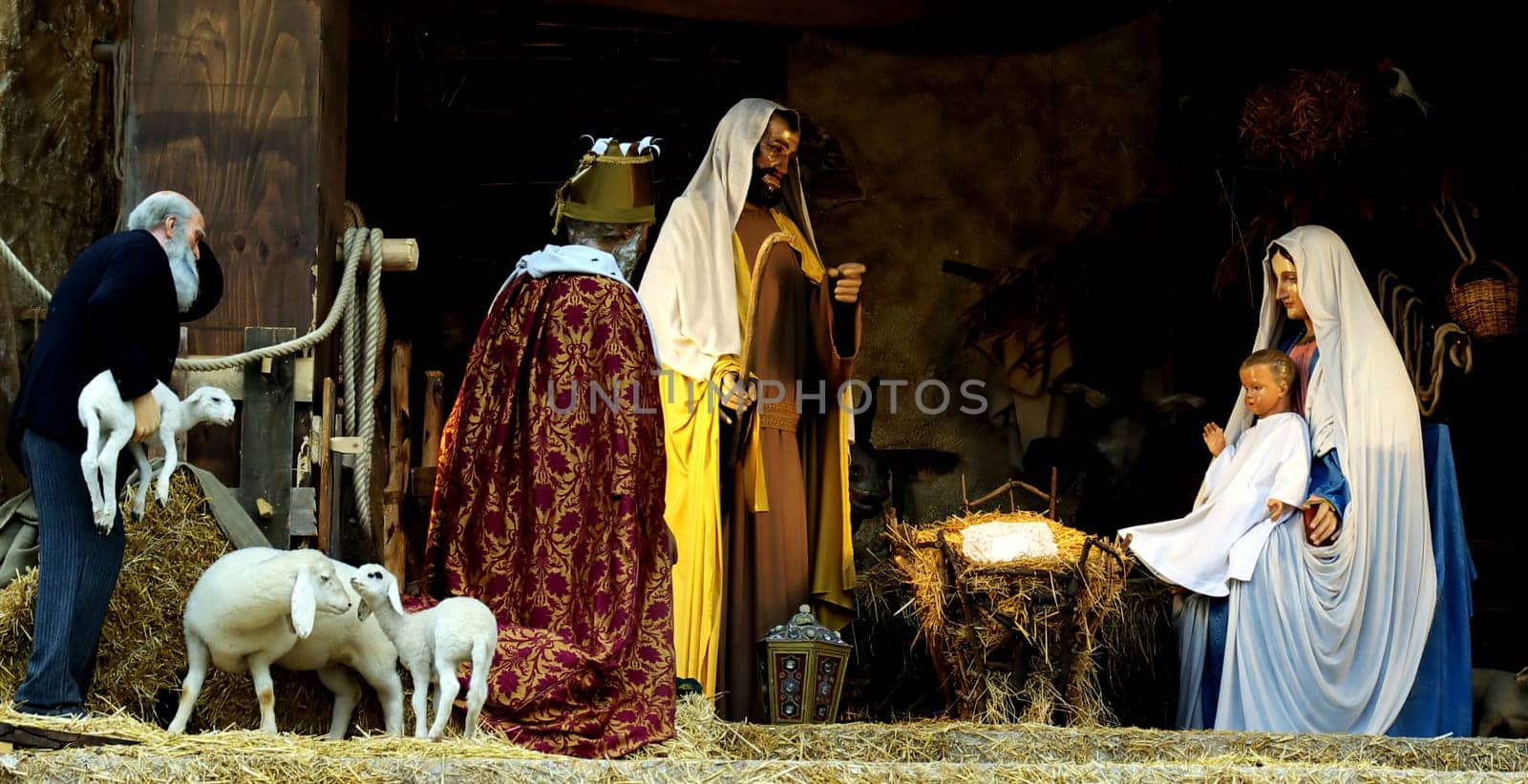Nativity scene in St. Peter's Square