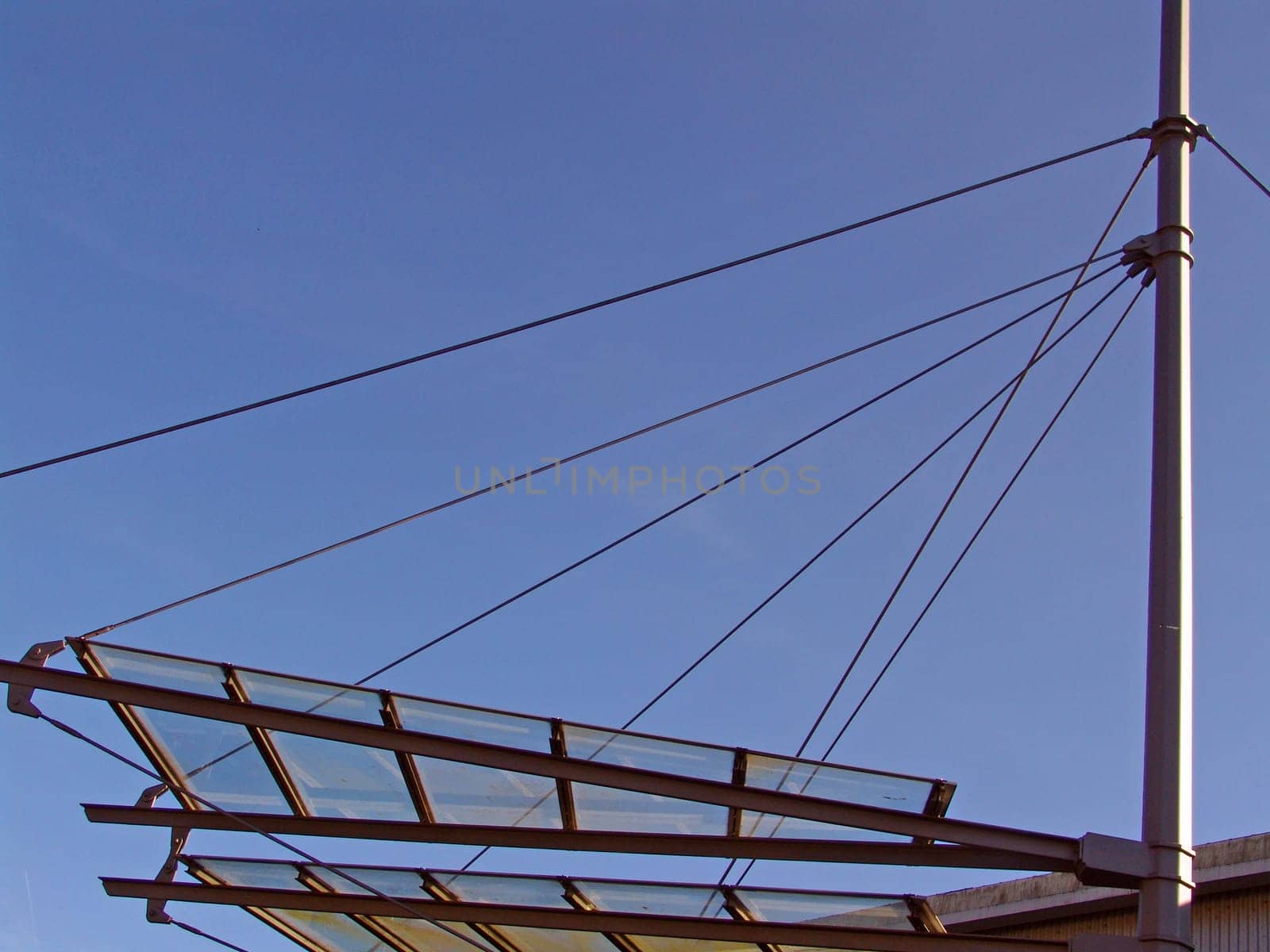 Canopy