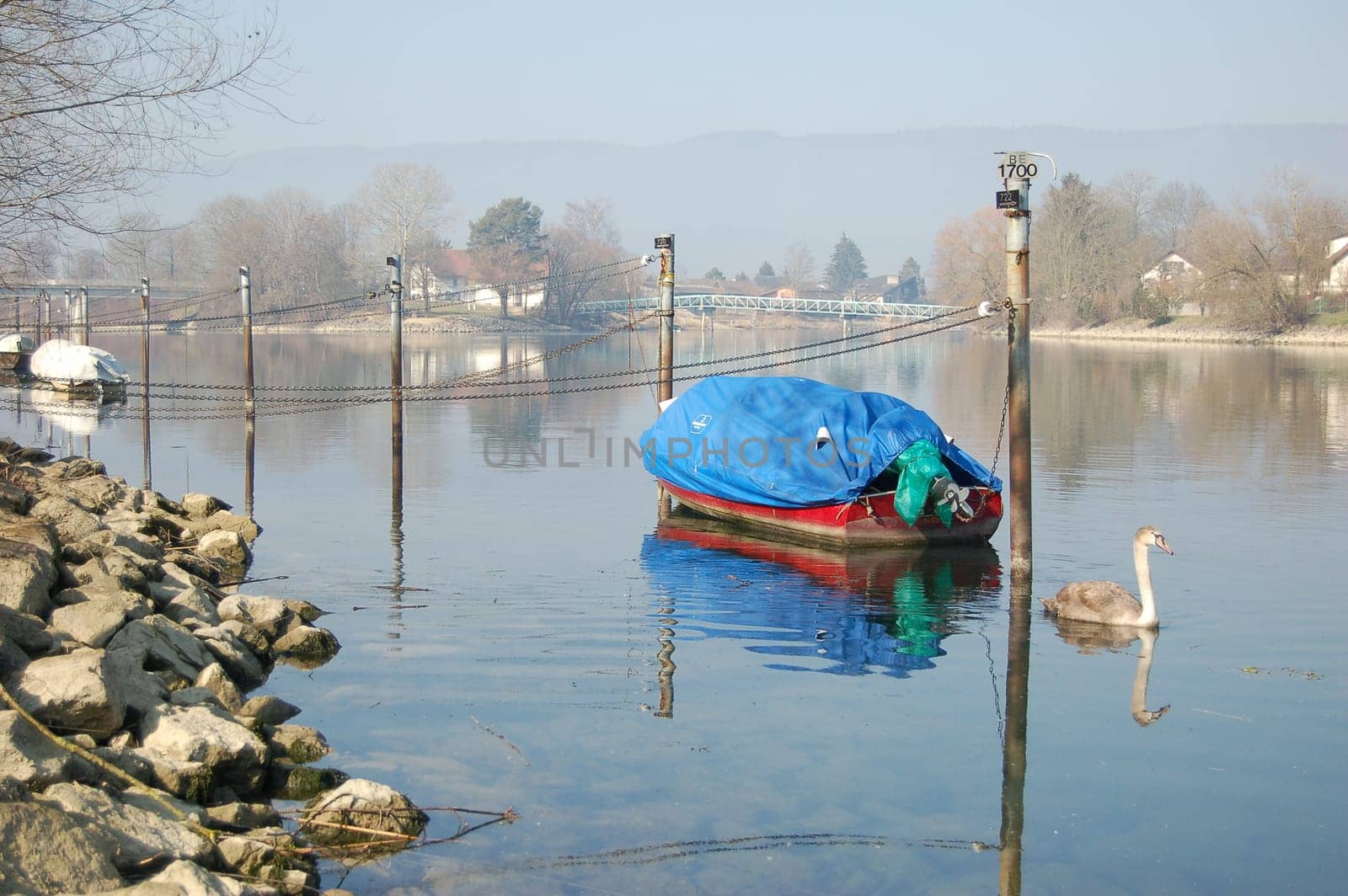 on the Aare