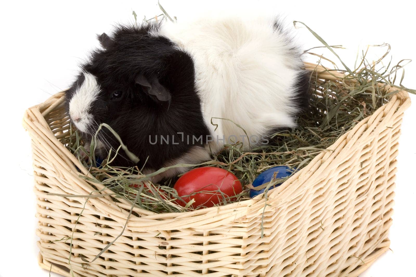 Easter basket