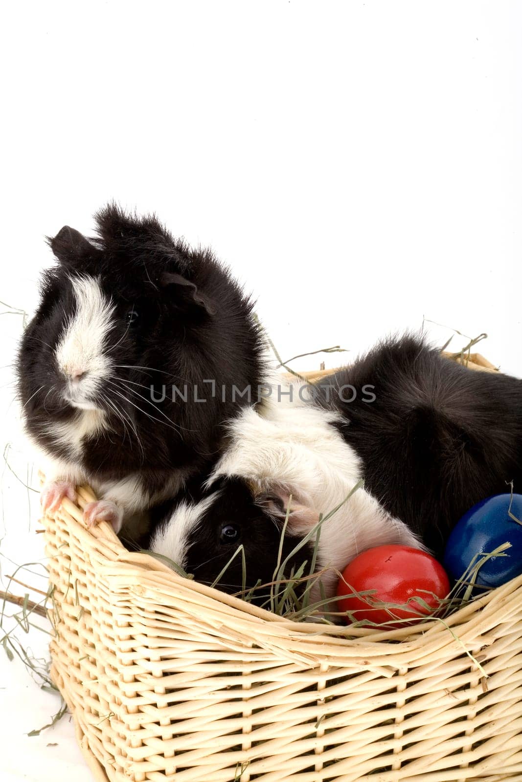 Easter basket