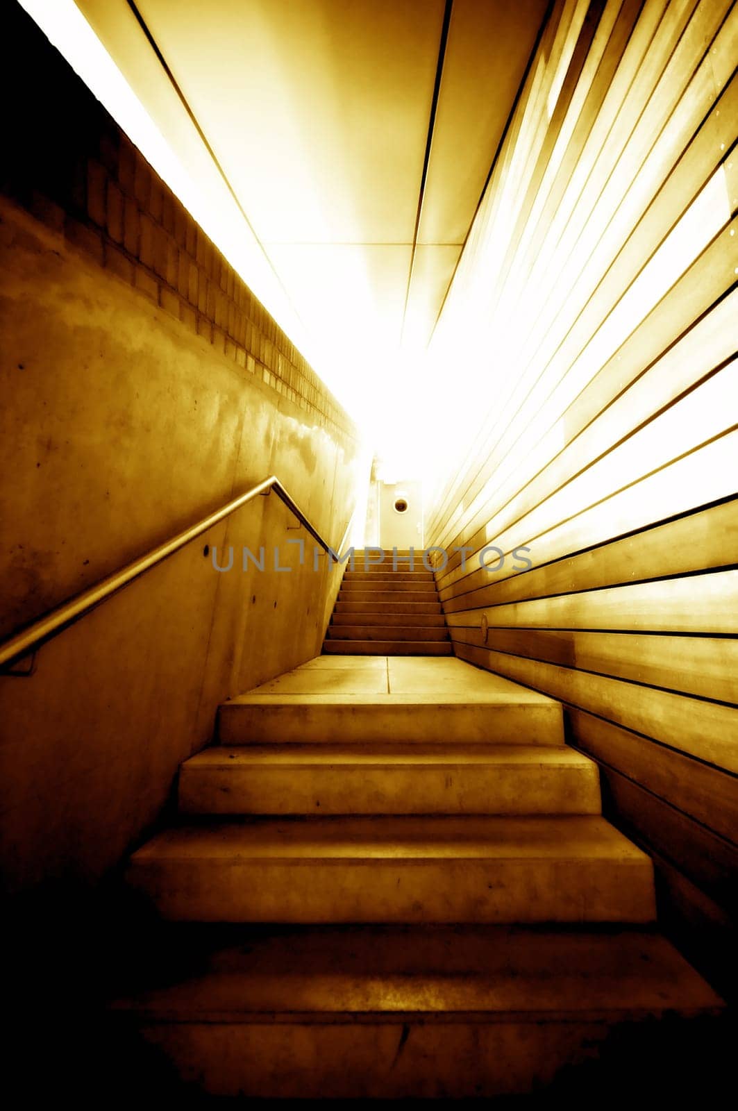 into the light...