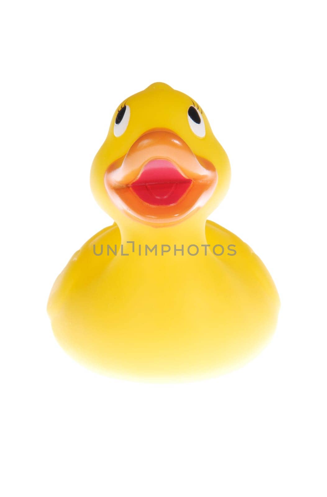 Happy Duck