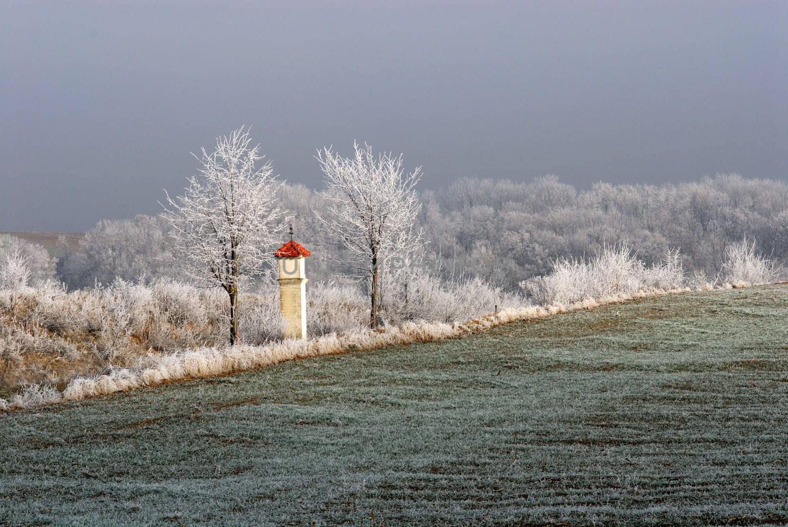"Marterl"" (wayside shrine) in Lower Austria on a foggy December day,when the sun flashed through briefly."