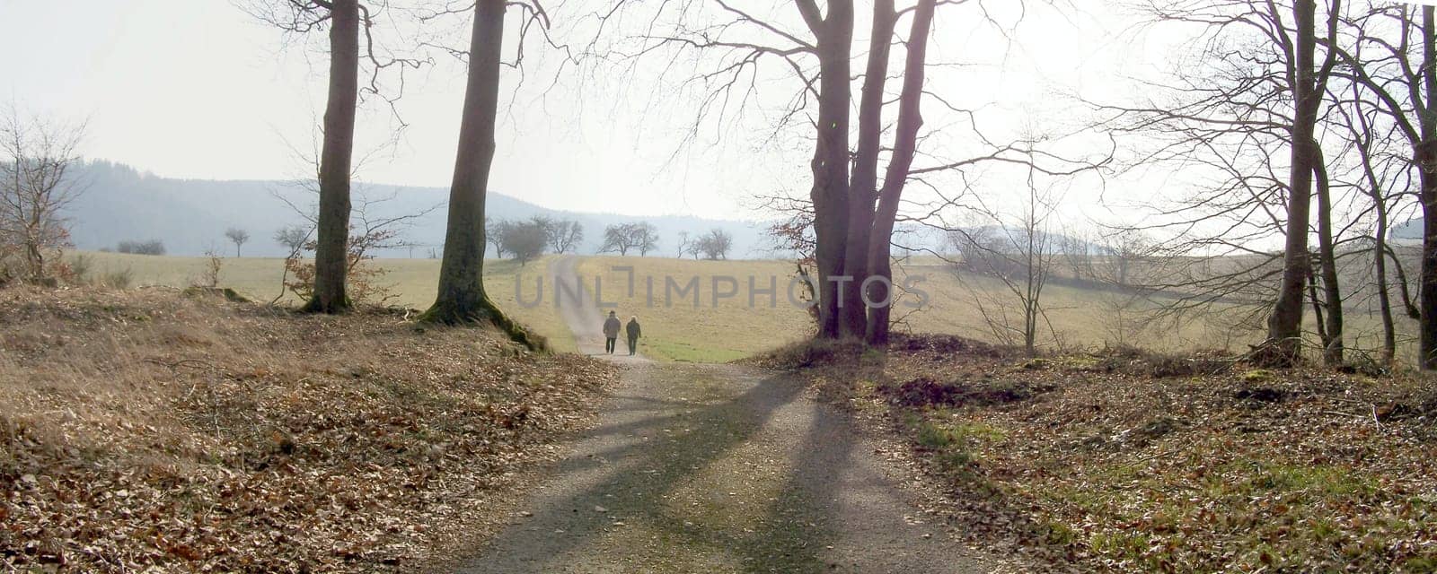 Autumn walk
