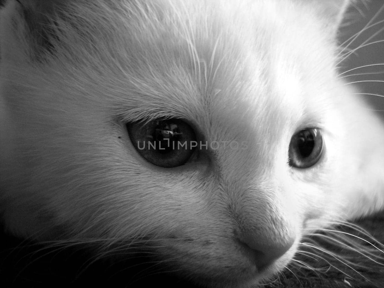 sweet little baby