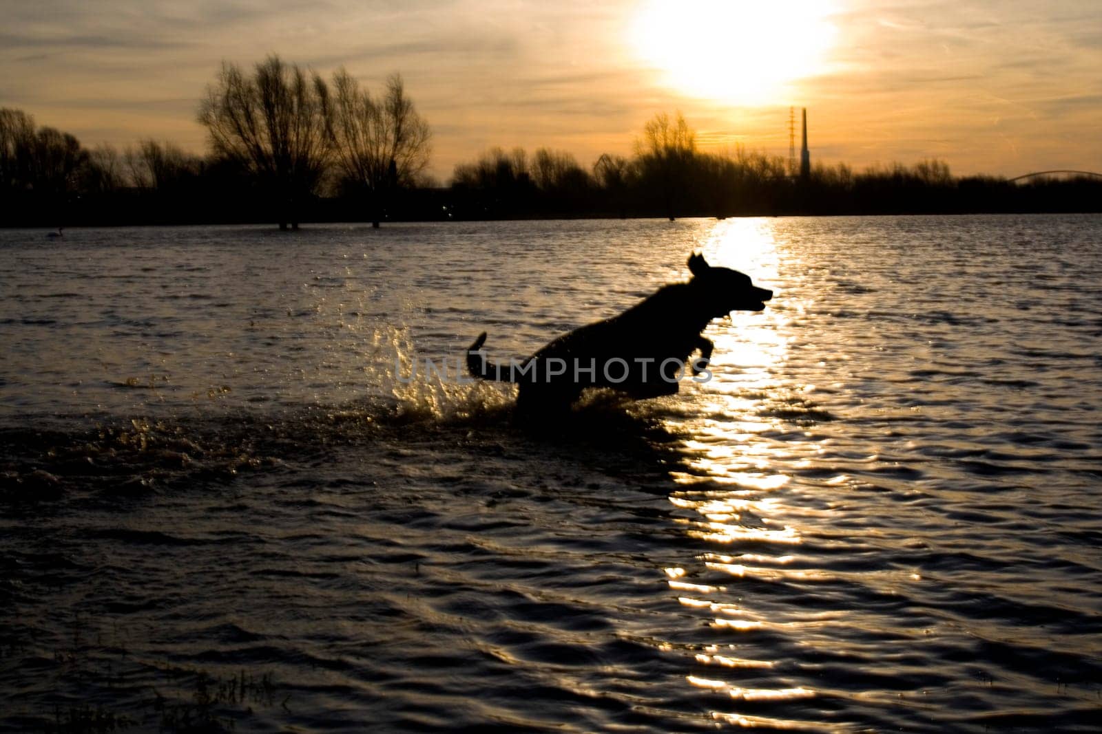 Fun at sunrise