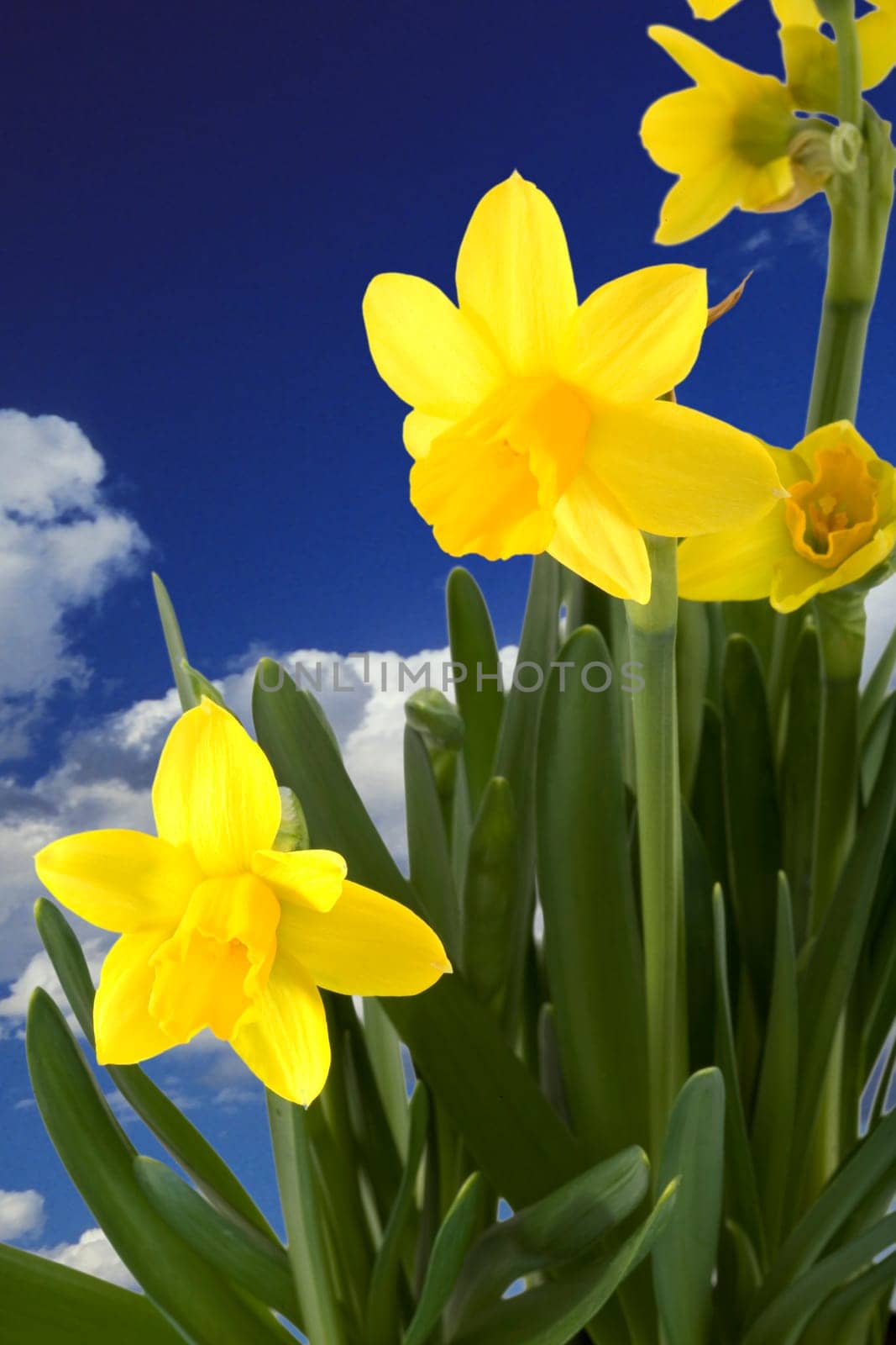 The beginning of spring
