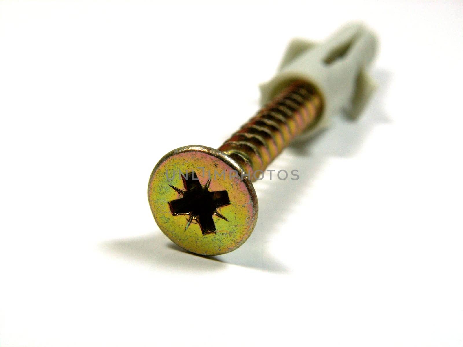 Screw and dowel